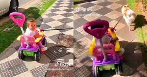 Papà trova un’idea geniale per fare una passeggiata insieme a sua figlia e al suo cane (VIDEO)