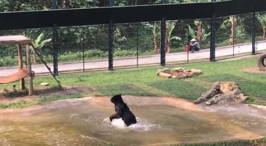 orso tuffy libero