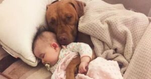 19 adorabili foto di bambini e neonati che dormono con i cuccioli di cane