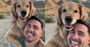 Golden Retriever posa a comando per i selfie e mostra la regina che è (VIDEO)