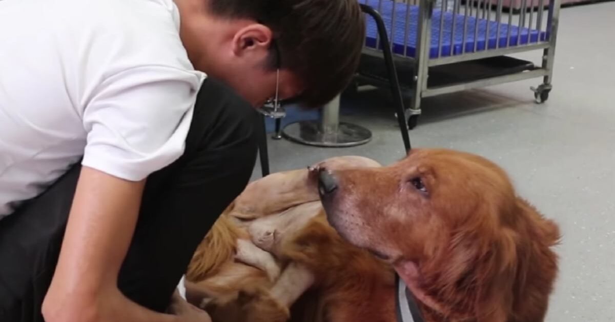 Golden Retriever ringrazia il soccorritore che