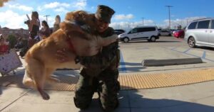 Golden Retriever rivede la sua proprietaria militare dopo un anno e la sua reazione è commovente (VIDEO)