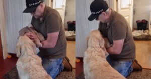 La reazione del Golden Retriever al nuovo bambino scioglie il cuore di tutti online (VIDEO)