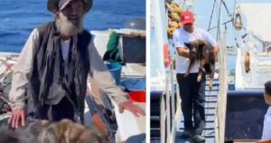 Era disperso da due mesi nell’Oceano Pacifico con il suo fedele amico cane: vengono miracolosamente salvati (VIDEO)