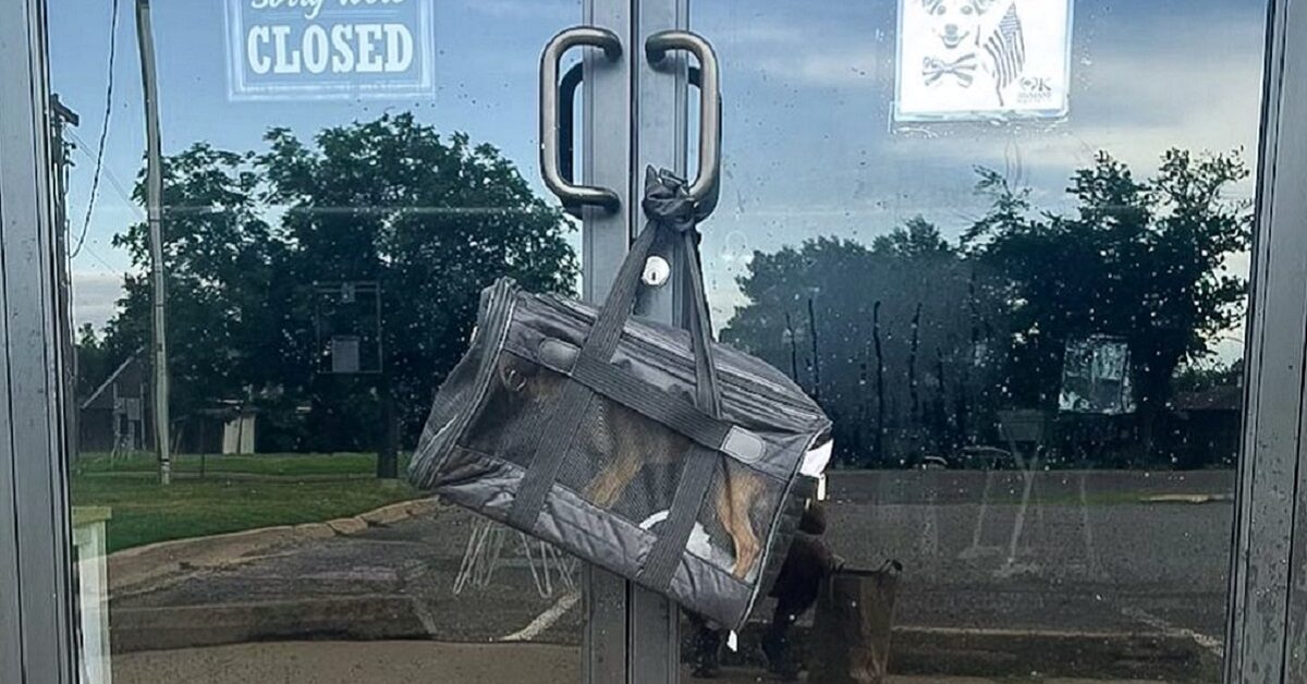 Appendiabiti Borsa Grande Milano - Foto 6