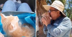 Un anziano si commuove quando riceve un gattino identico a quello che è morto (VIDEO)