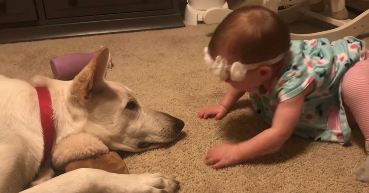 bimba e cagnolino