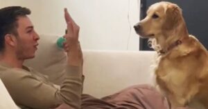 Golden Retriever sbalordito dai numeri di magia del padrone (VIDEO)