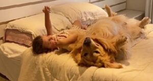 Il Golden Retriever e la sorellina umana stanno rubando il cuore a tutto il web (VIDEO)