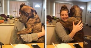 A un anno di distanza, il cane accolto in una nuova famiglia non smette di abbracciare la mamma umana