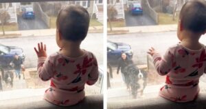 La bimba attende alla finestra, appena il cagnolino la intravede scatta per correre a salutarla (VIDEO)