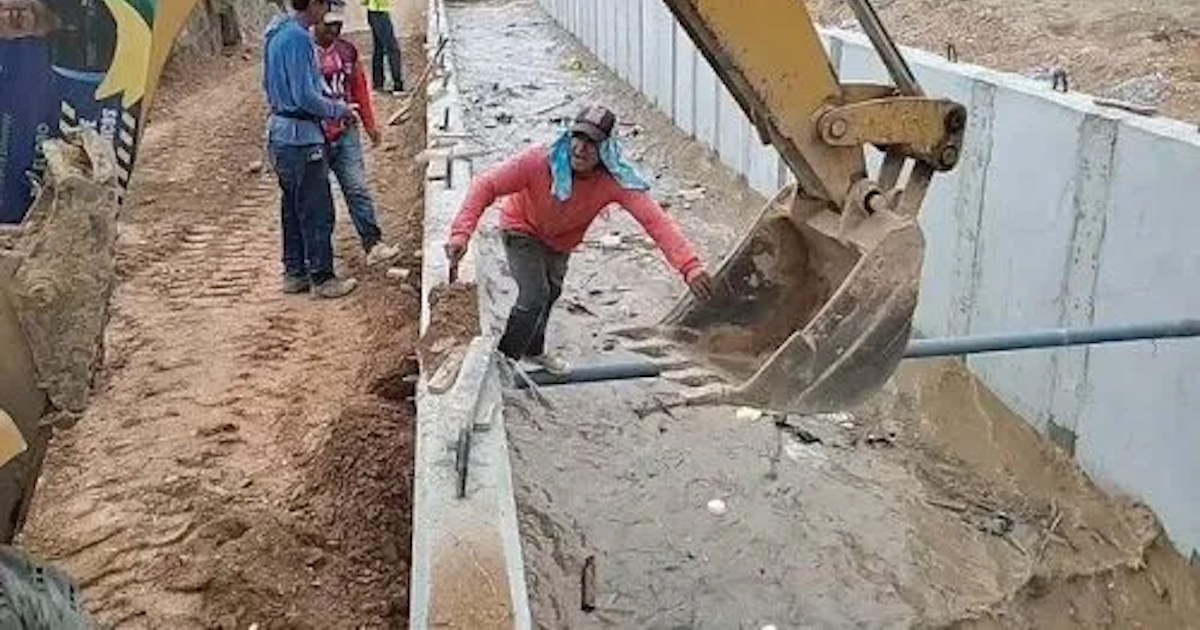 cane trascinato dall'acqua salvato