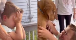 Riceve in regalo il cane Golden Retriever che aveva sempre desiderato: la reazione del bambino commuove il Web (VIDEO)