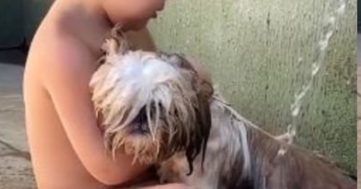 Cane lavato da bambina