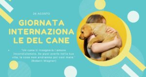 Oggi 26 agosto è la giornata Internazionale dei nostri amici a quattro zampe: I Cani