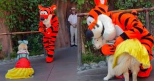 Golden Retriever incontra il suo personaggio Disney preferito e emoziona tutti i presenti (VIDEO)