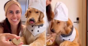 Golden Retriever aiuta la sua proprietaria a fare uno spuntino diverso (VIDEO)