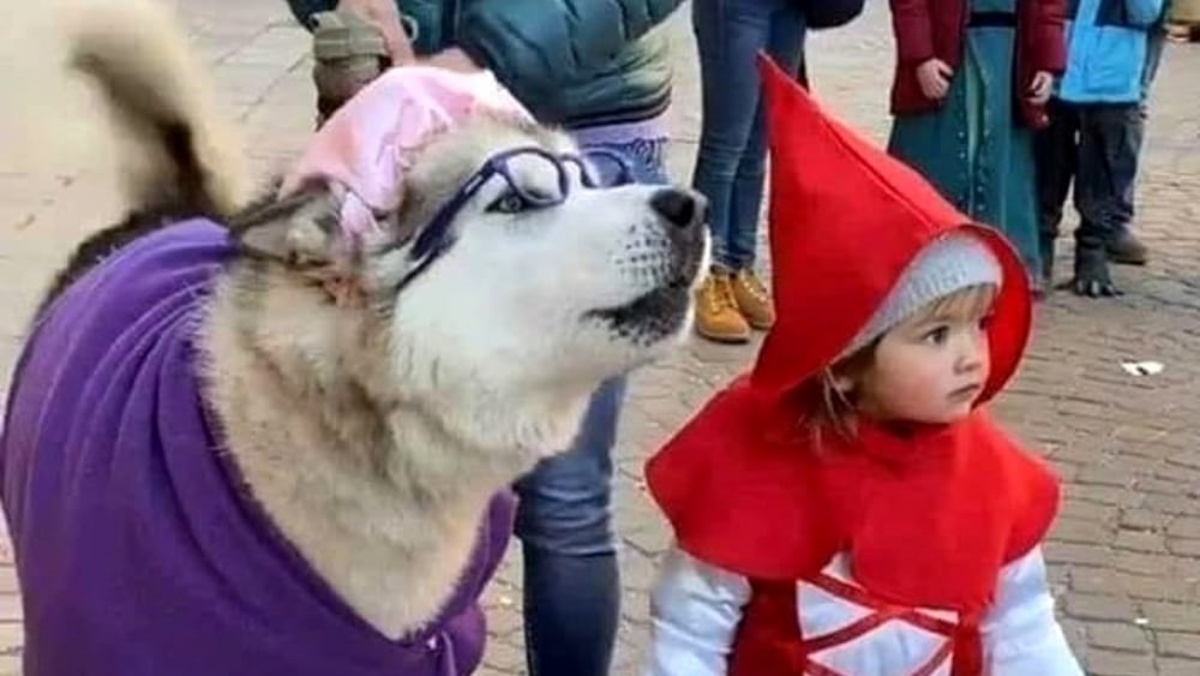 bambina e cane