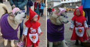 La bimba vestita da Cappuccetto Rosso e il suo Husky fanno impazzire il web