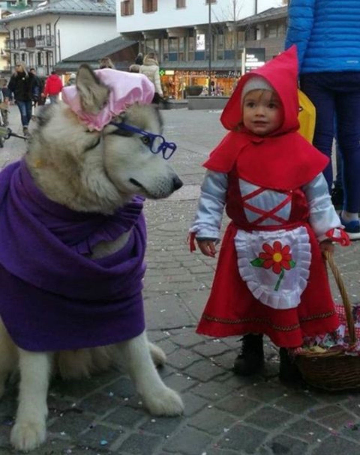 Husky e bimba