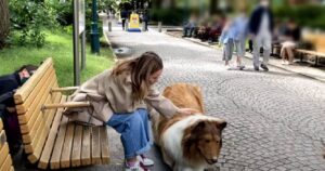 L’uomo che ha voluto trasformarsi in un cane: ecco il video della sua prima passeggiata (VIDEO)