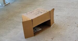 Trova uno scatolone con scritto “cuccioli gratis” ma è vuoto, poi la scoperta