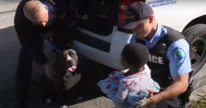 Cagnolino randagio protegge un bambino scomparso finché non arriva il padre (VIDEO)