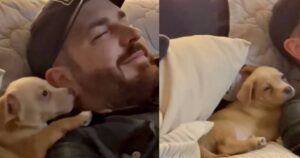 Cucciolo di cane non smette di ringraziare la persona che lo ha adottato (VIDEO)