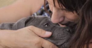 Cucciolo rischiava di essere buttato via dal suo allevatore: era nato con la “Sindrome del nuotatore” (VIDEO)