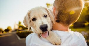 Ecco i segnali per capire se il tuo cane è felice