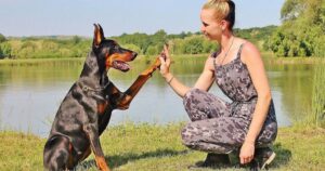 Sapete cosa hanno in comune i Dobermann con gli esseri umani? La scoperta è davvero straordinaria