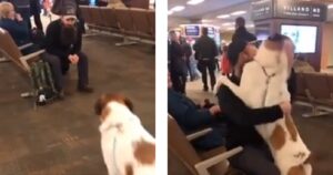 La reazione del cane che rivede il padrone in aeroporto è adorabile (VIDEO)