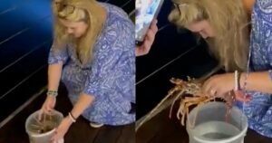 Turista compra aragosta da 200 euro in un ristorante, la accarezza e la restituisce al mare