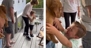 I genitori fanno una sorpresa al figlio di 3 anni: un cucciolo di Golden Retriever. Lui impazzisce di gioia (VIDEO)