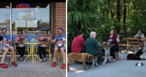 “Mangia, bevi e adotta un cane”: nasce Fido, il primo locale che ti permette di conoscere un amico a quattro zampe