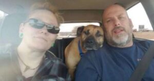 Cane randagio vede portiera dell’auto aperta e sale in macchina: trova in questo modo la sua famiglia per sempre