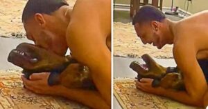 I versi che emette il Rottweiler Kilo dopo che il suo padrone lo bacia sono esilaranti (VIDEO)