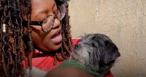 Il cane anziano che tremava di paura trova conforto tra le braccia della sua soccorritrice (VIDEO)