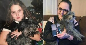Ritrova il suo cane di quando era bambina dopo essere stata lontana da lei per 7 anni