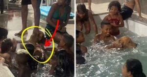 Golden Retriever scappa di casa e viene trovato a divertirsi nella festa in piscina del vicino (VIDEO)