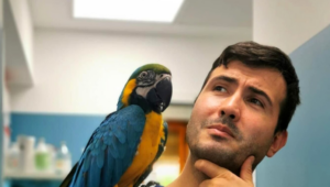 Addio a DottorPet, Marco Petrini: il cuore grande del veterinario di Tivoli per gli animali si è spento