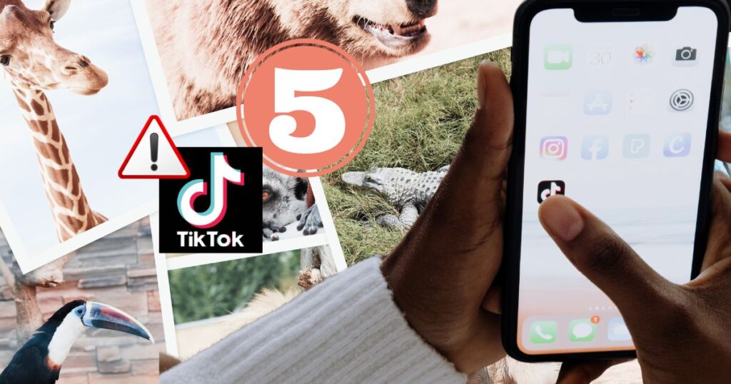 Cinque animali diventati virali su TikTok: dietro le migliaia di condivisioni si nasconde un serio rischio