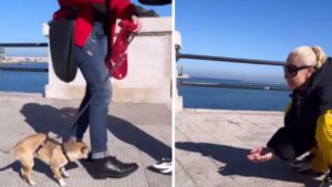 Paola Barale adotta una cagnolina abbandonata nelle strade di Bari: il tenero video del loro primo incontro emoziona il pubblico