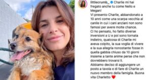 Elisabetta Canalis adotta un cane di 10 anni, abbandonato come un indesiderato paio di scarpe vecchie